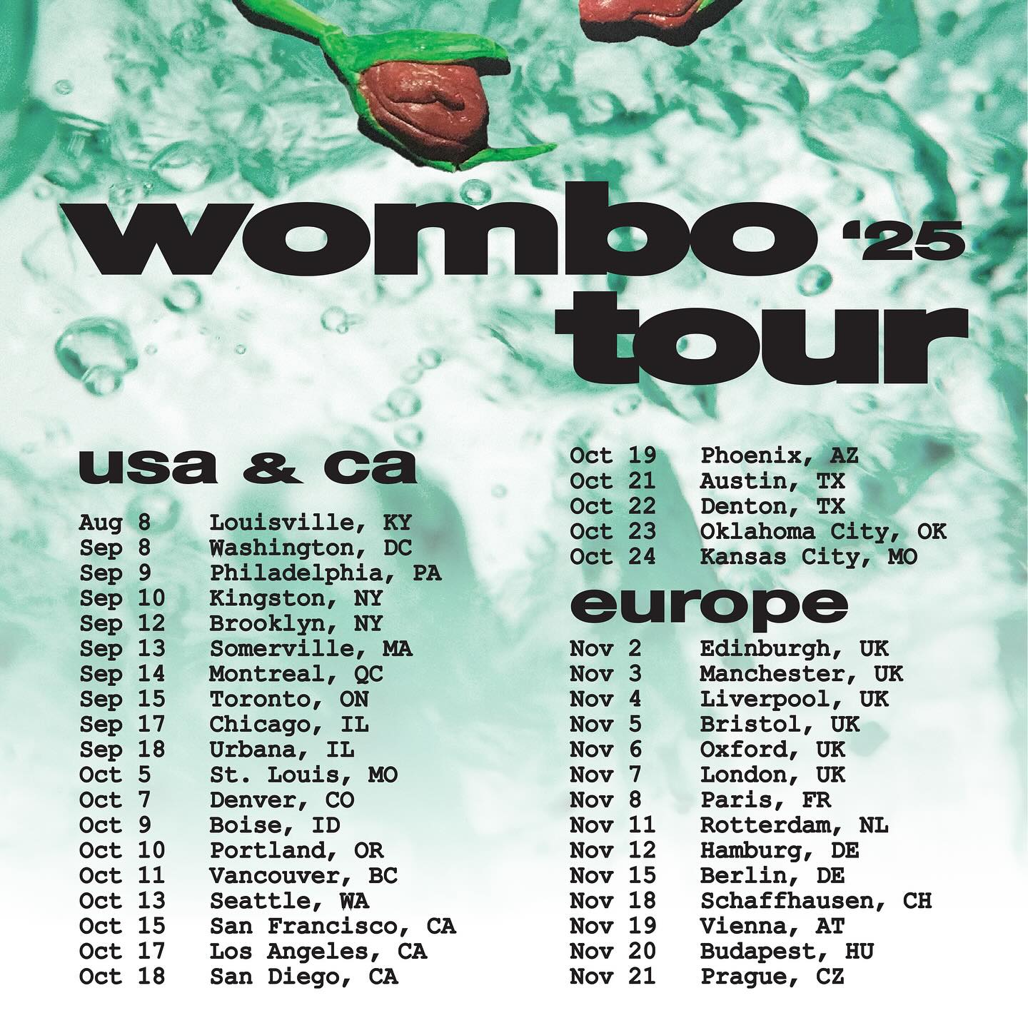 Wombo Tour Poster 2026